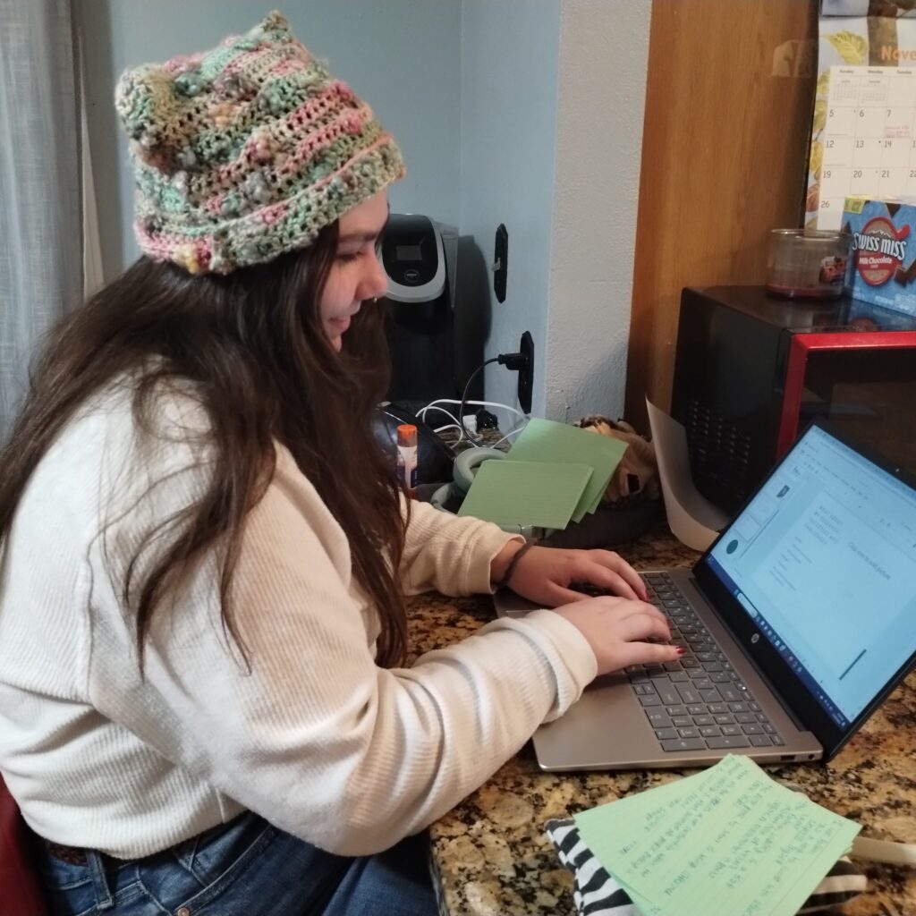 Girl working on a laptop