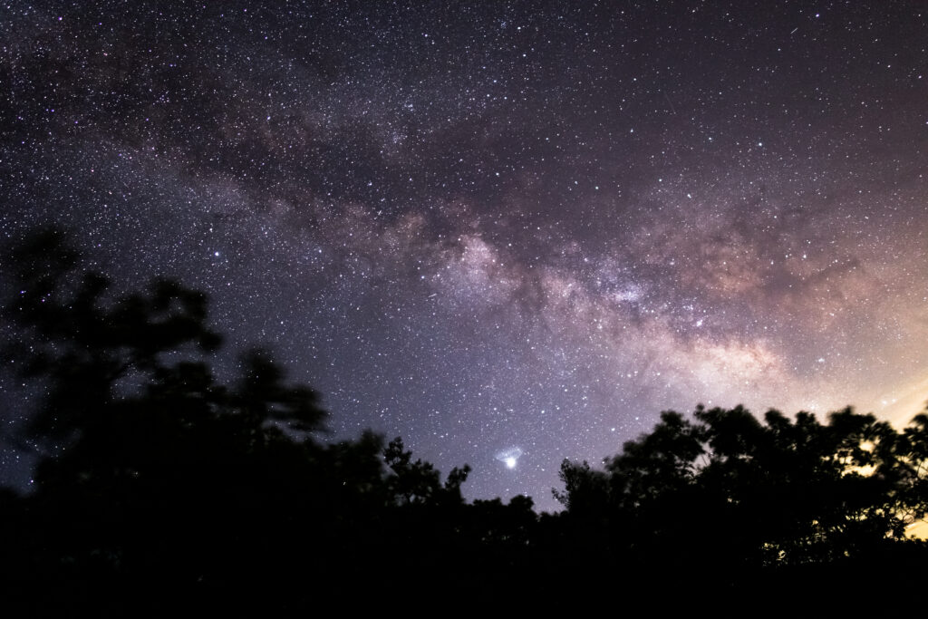 Starry night sky with tree on the bottom.