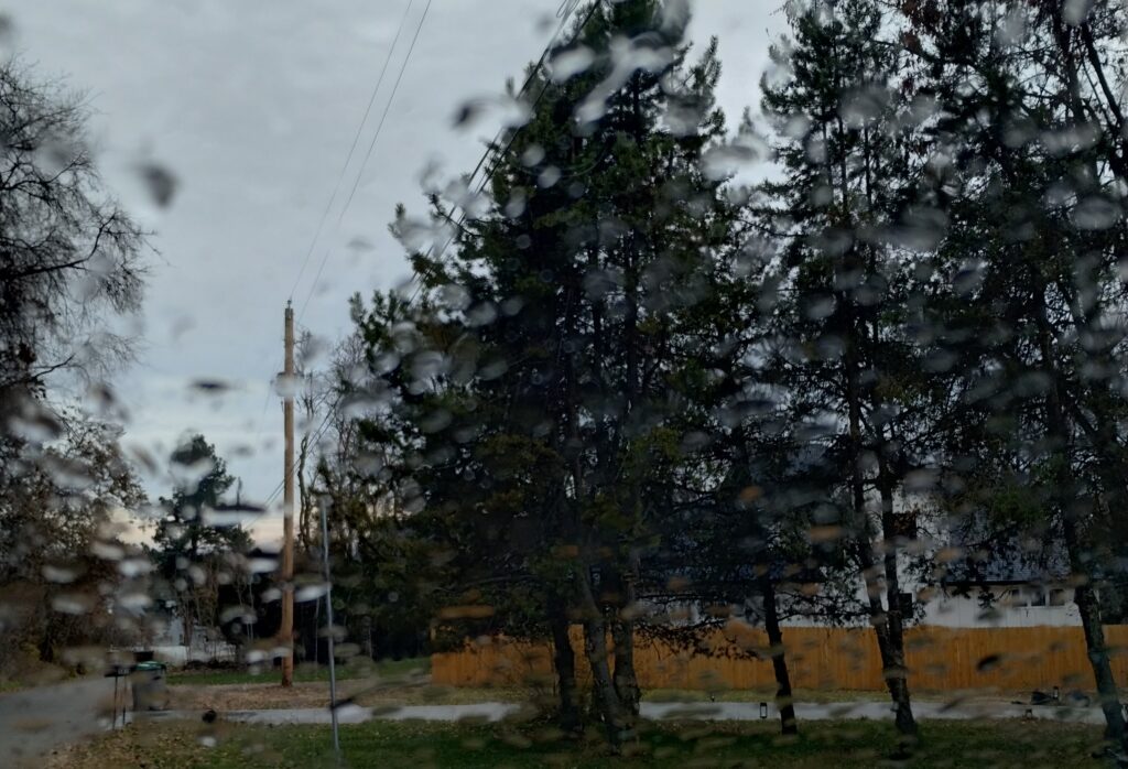 Tree through a window with raindrops. 